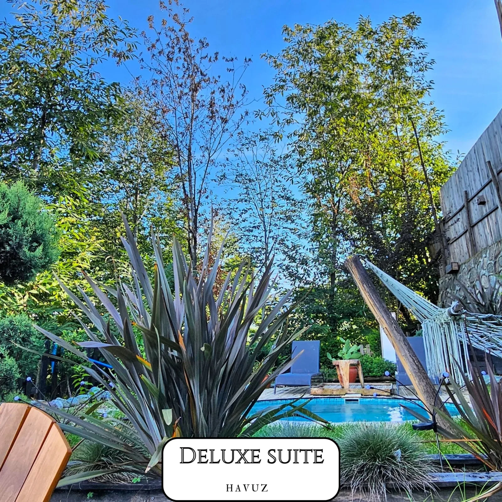 Vadi Bungalow Sapanca / Deluxe Suite mit Pool