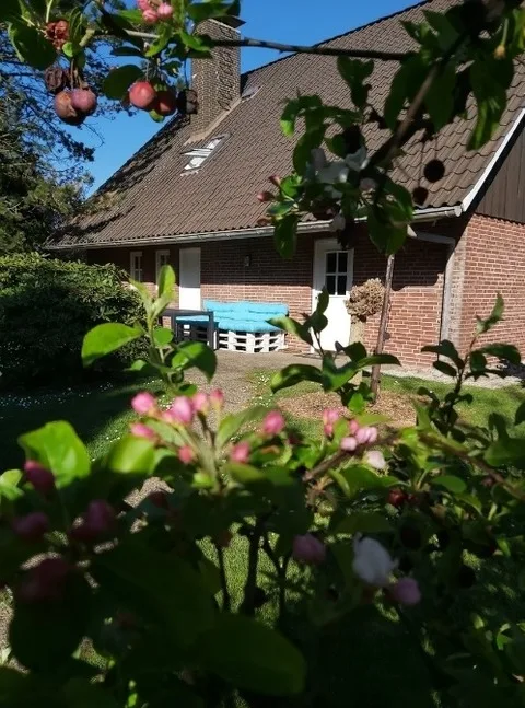 Ferienwohnung Jork  Altes Land bei Hamburg an der Elbe