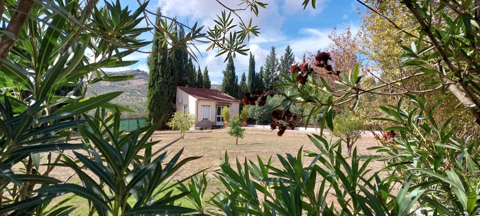 Casita Cacahuete