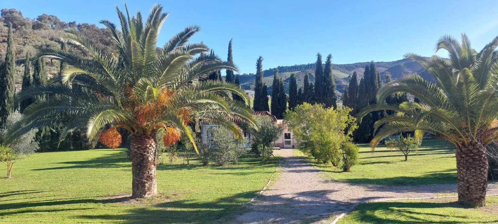Casita Cacahuete