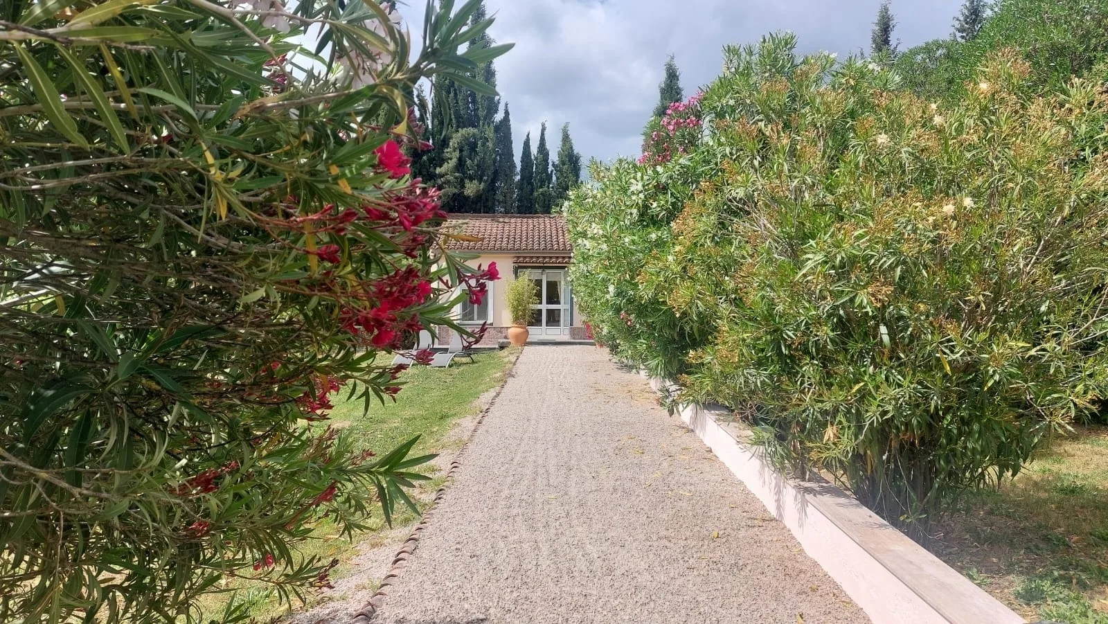 Casita Cacahuete