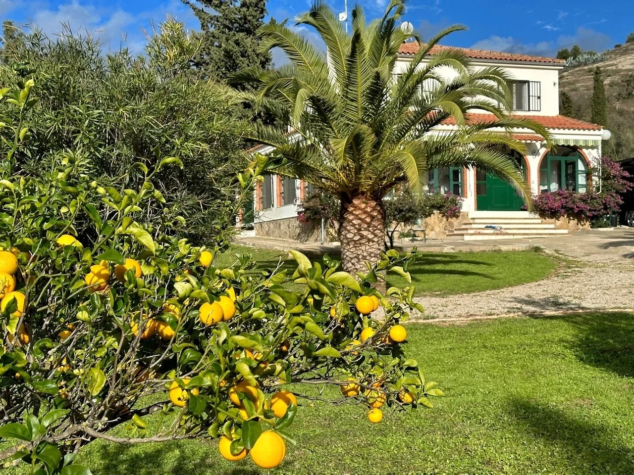 Casita Cacahuete