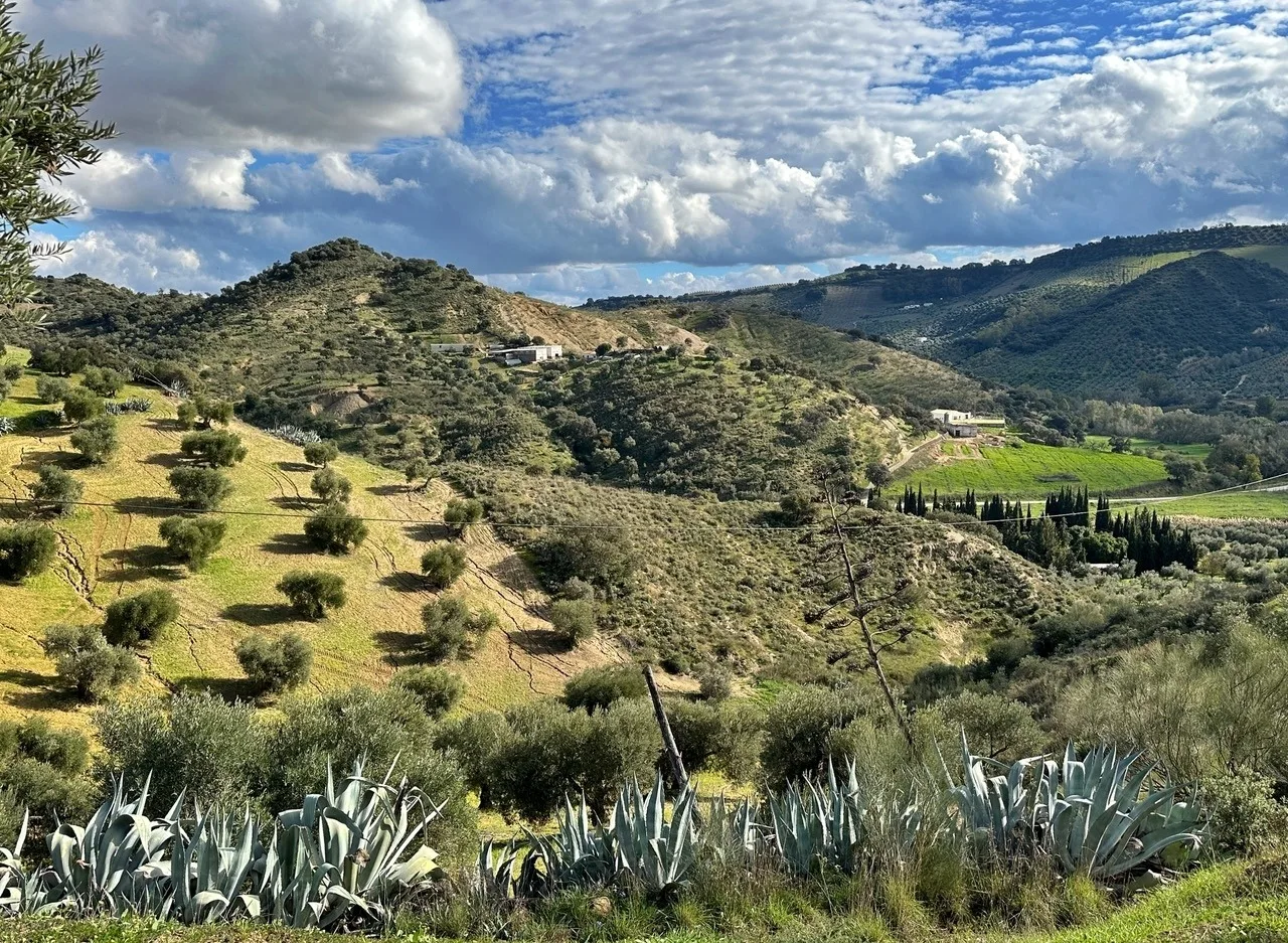 Casita Cacahuete