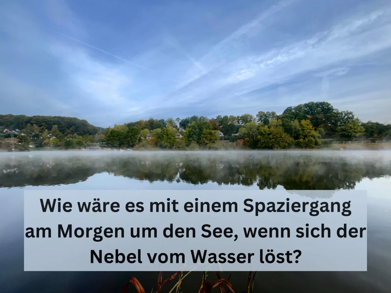 Natur pur mit Seeblick - Ferienhaus Helly von Mein-Seepark mit eigener Sauna
