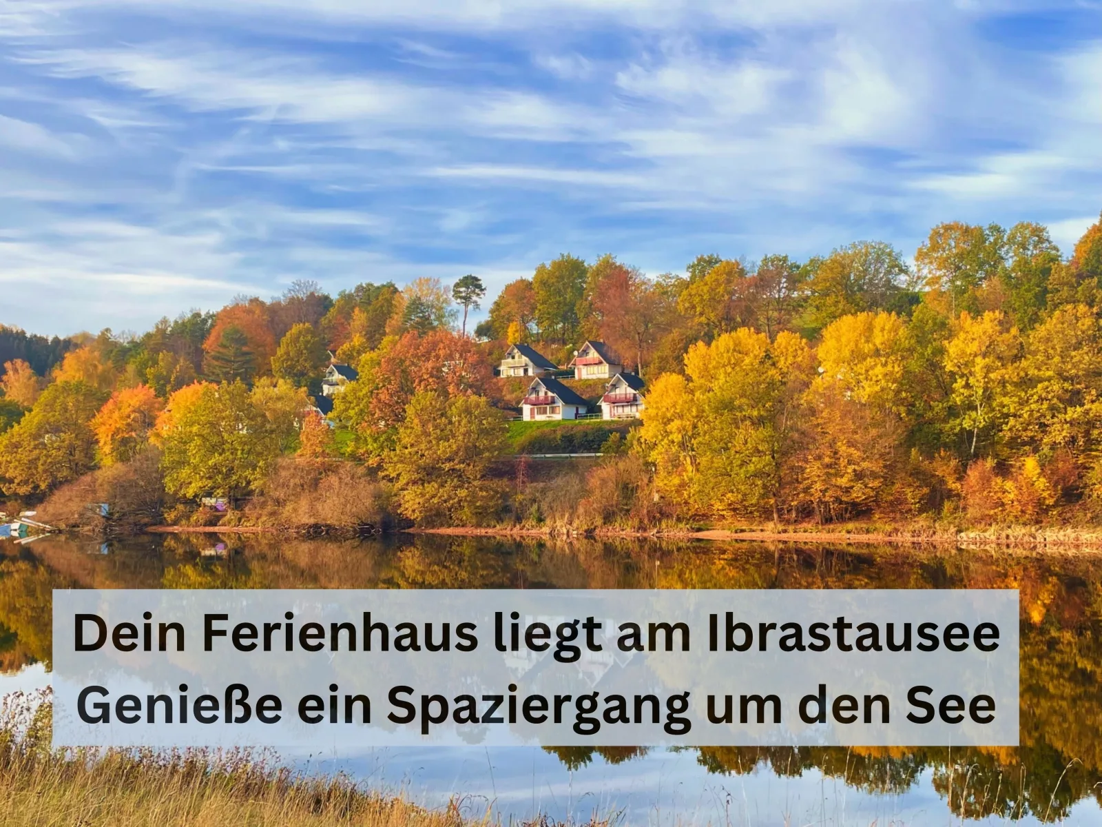 Natur pur mit Seeblick - Ferienhaus Helly von Mein-Seepark mit eigener Sauna
