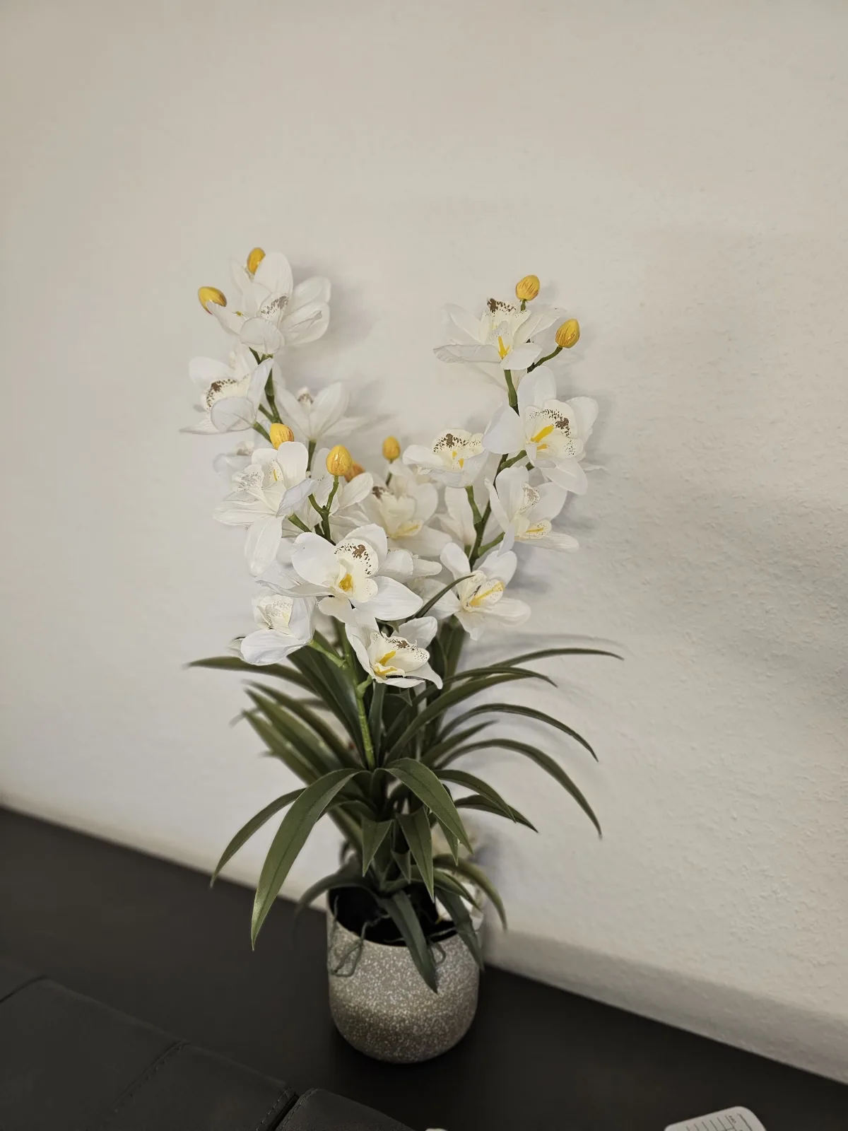 Haus Ilse Wohnung 9