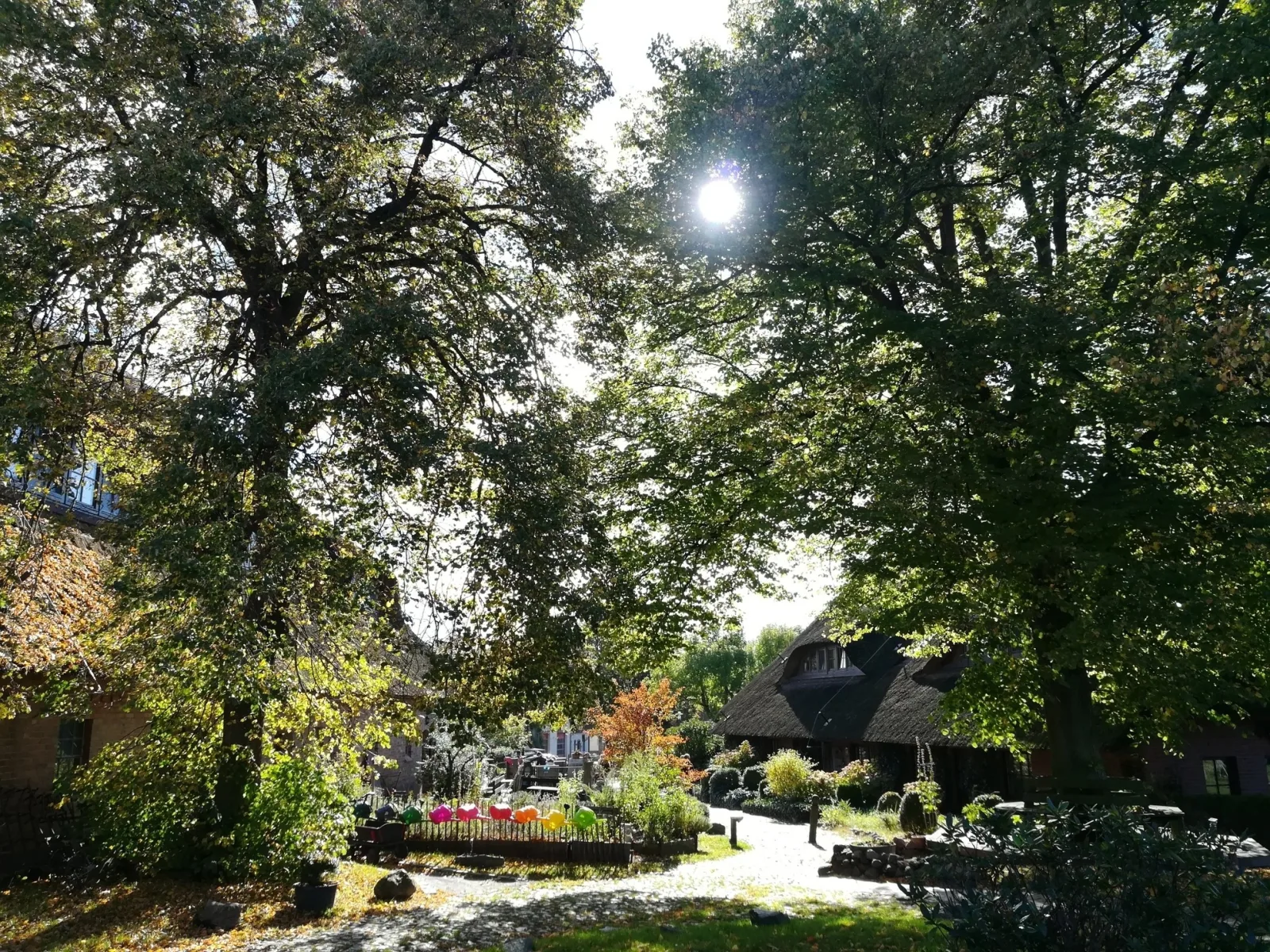 Ferienwohnung Midi