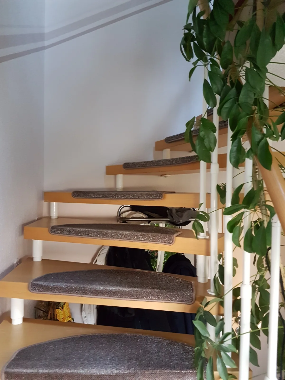Ferienwohnung "Vier Sterne"