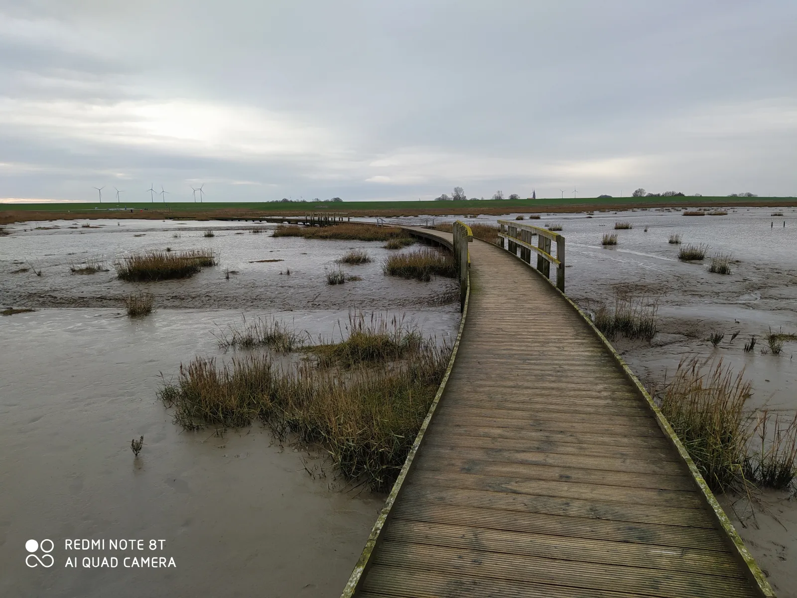 Mooroase-Bauerngarten-Ovelgönne-Nordsee-Weser-Jade