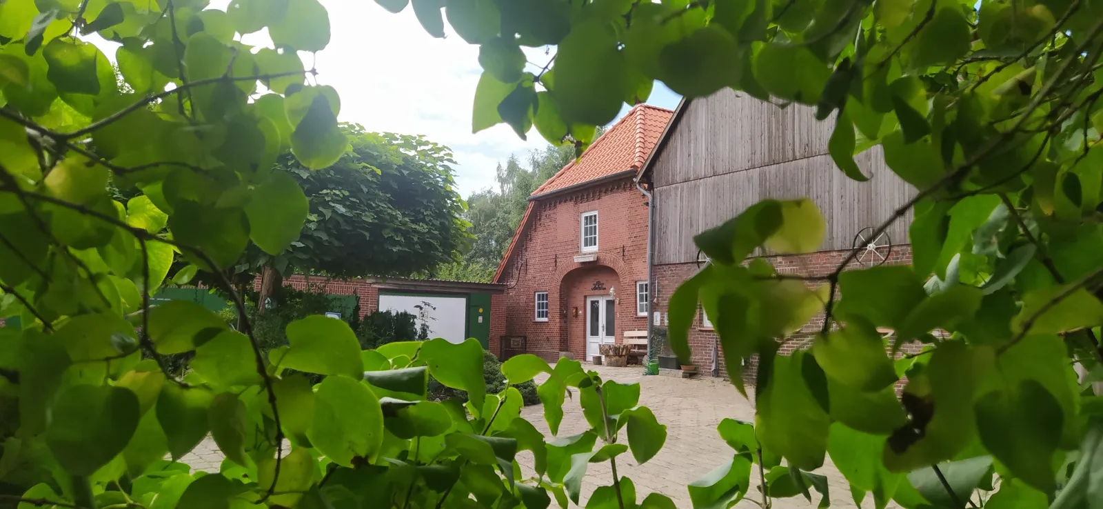 Mooroase-Bauerngarten-Ovelgönne-Nordsee-Weser-Jade