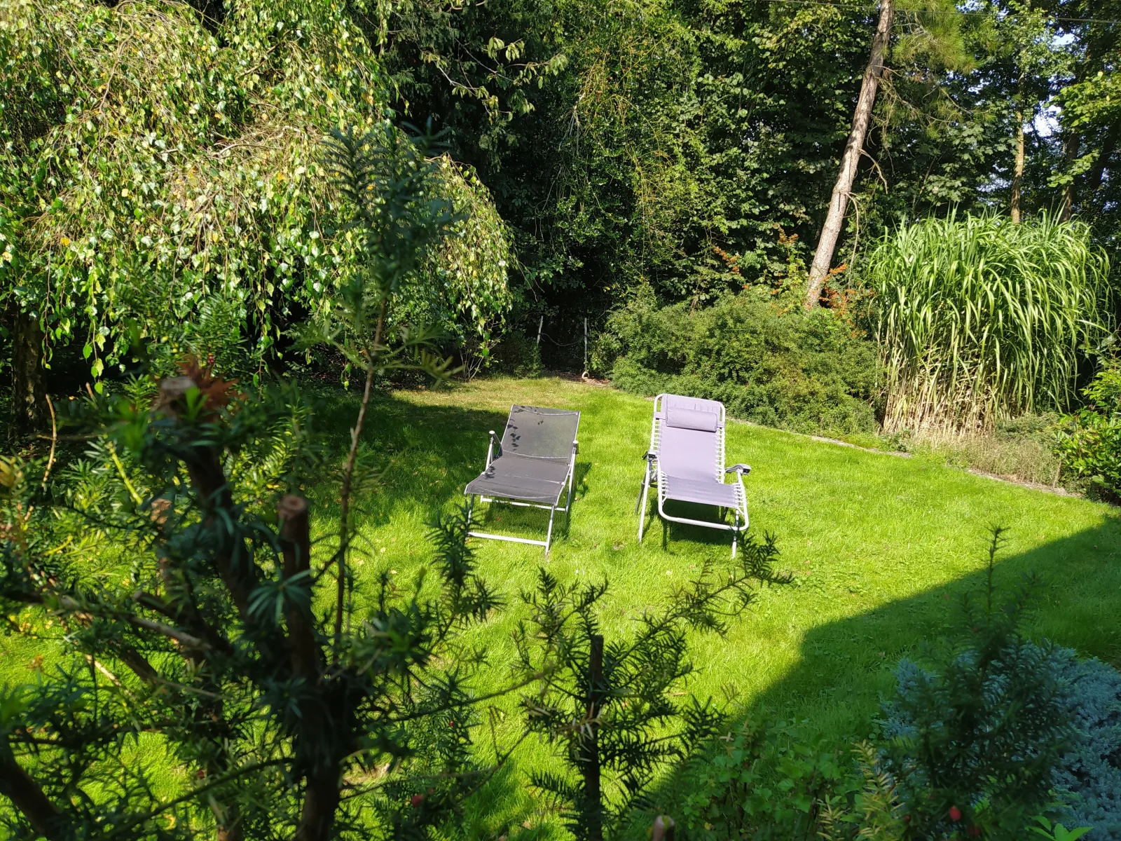Mooroase-Bauerngarten-Ovelgönne-Nordsee-Weser-Jade