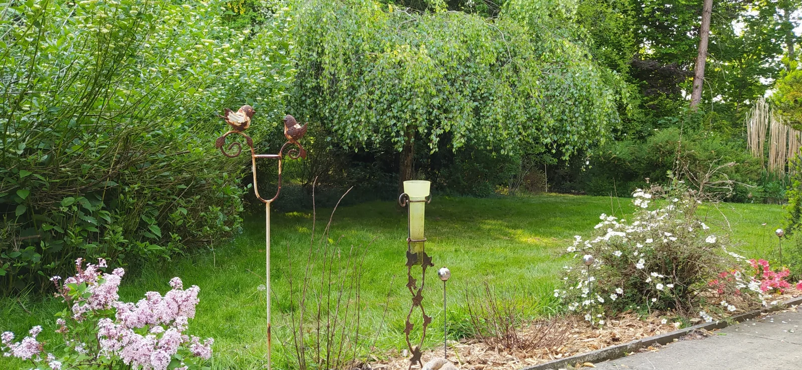 Mooroase-Bauerngarten-Ovelgönne-Nordsee-Weser-Jade