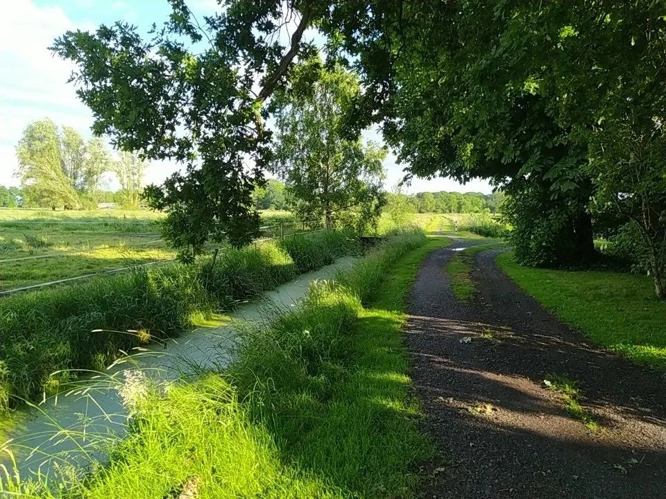 Mooroase-Bauerngarten-Ovelgönne-Nordsee-Weser-Jade