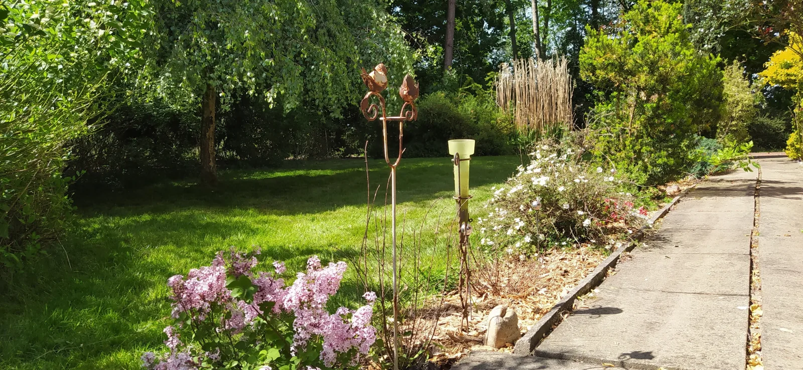 Mooroase-Bauerngarten-Ovelgönne-Nordsee-Weser-Jade