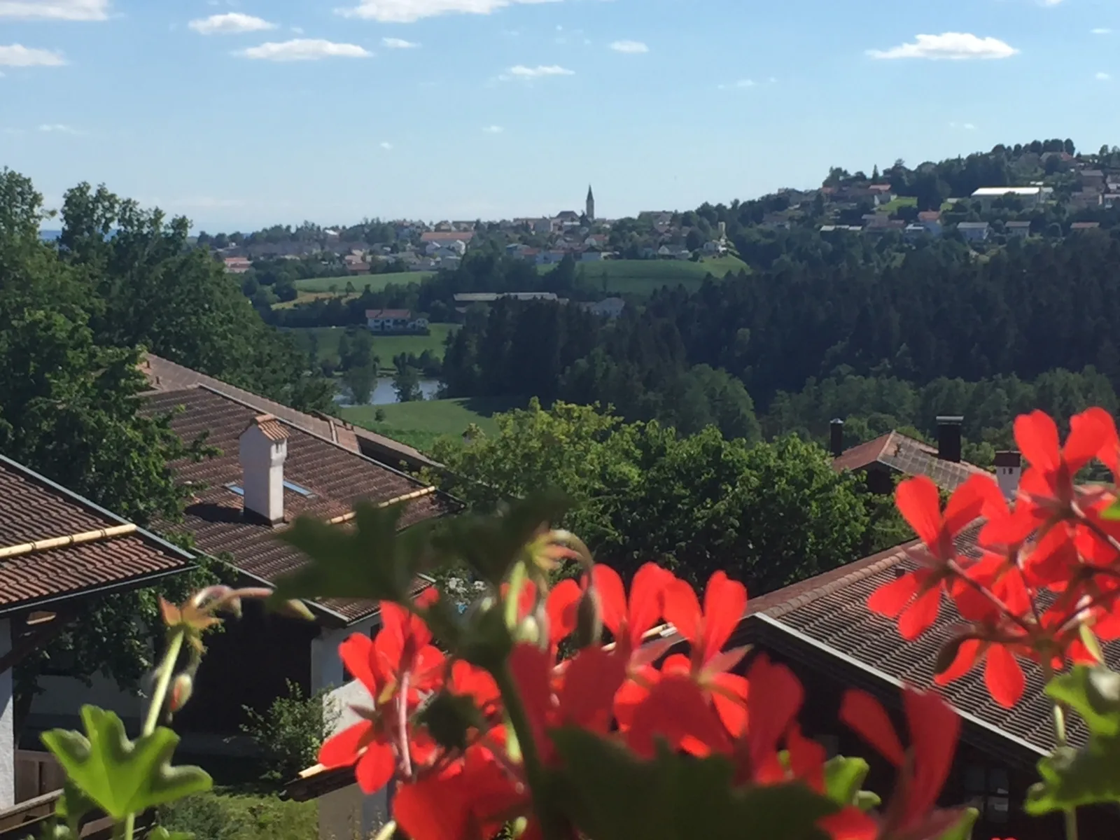 Ferienwohnung Hauzenberg Blick
