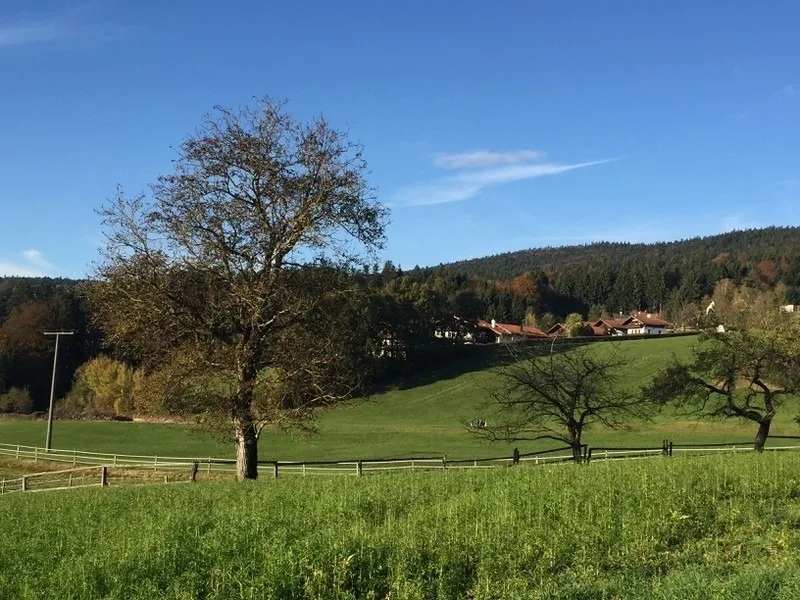 Ferienwohnung Hauzenberg Blick