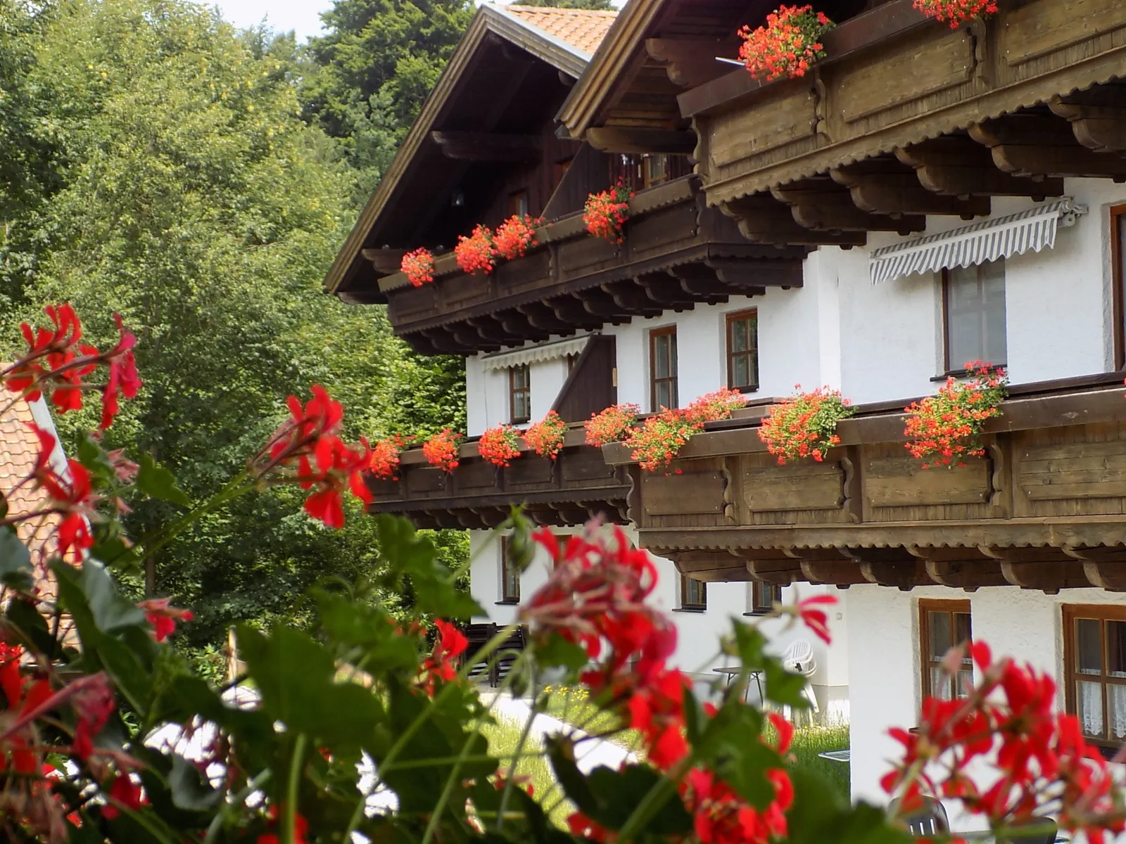 Ferienwohnung Hauzenberg Blick