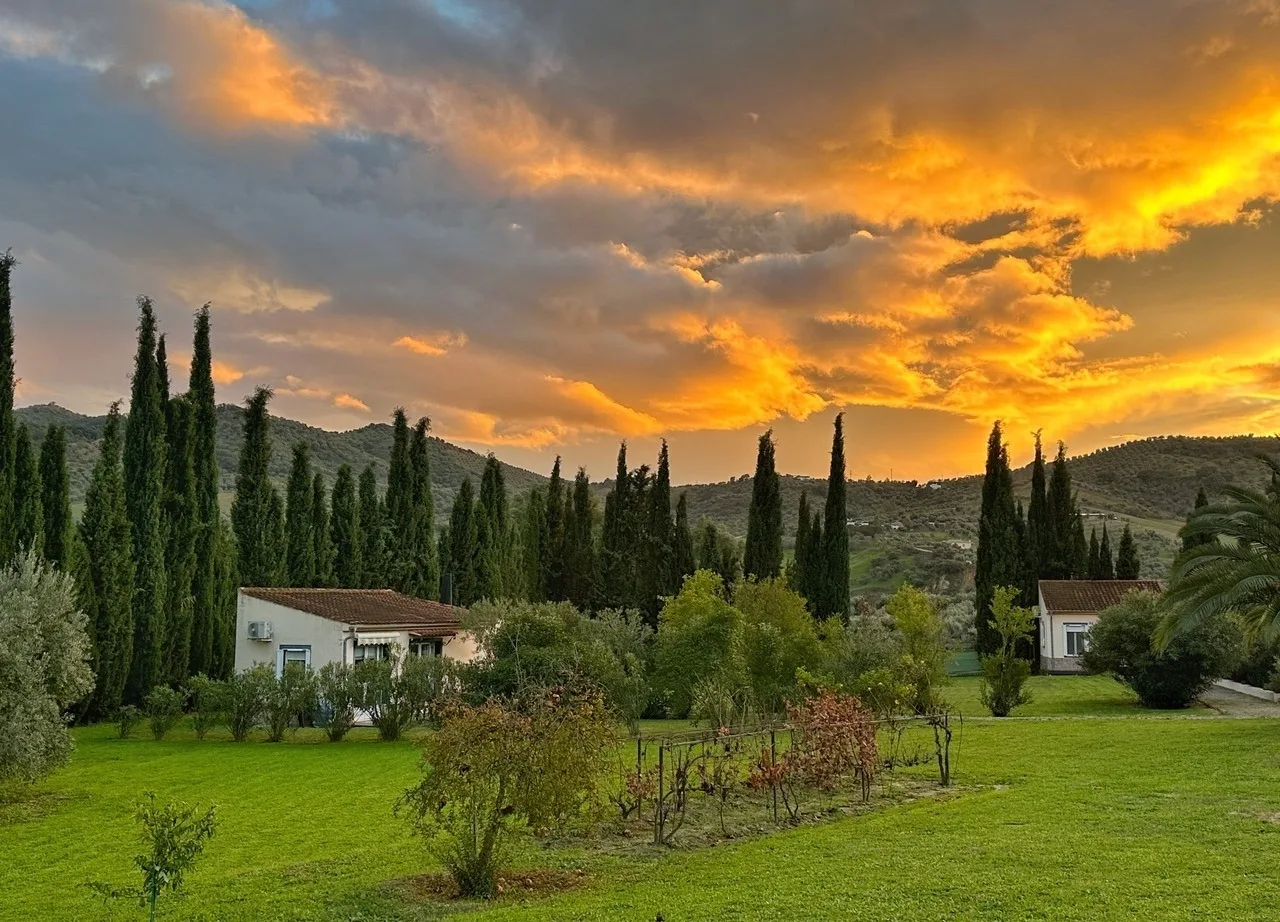 Casita Higo