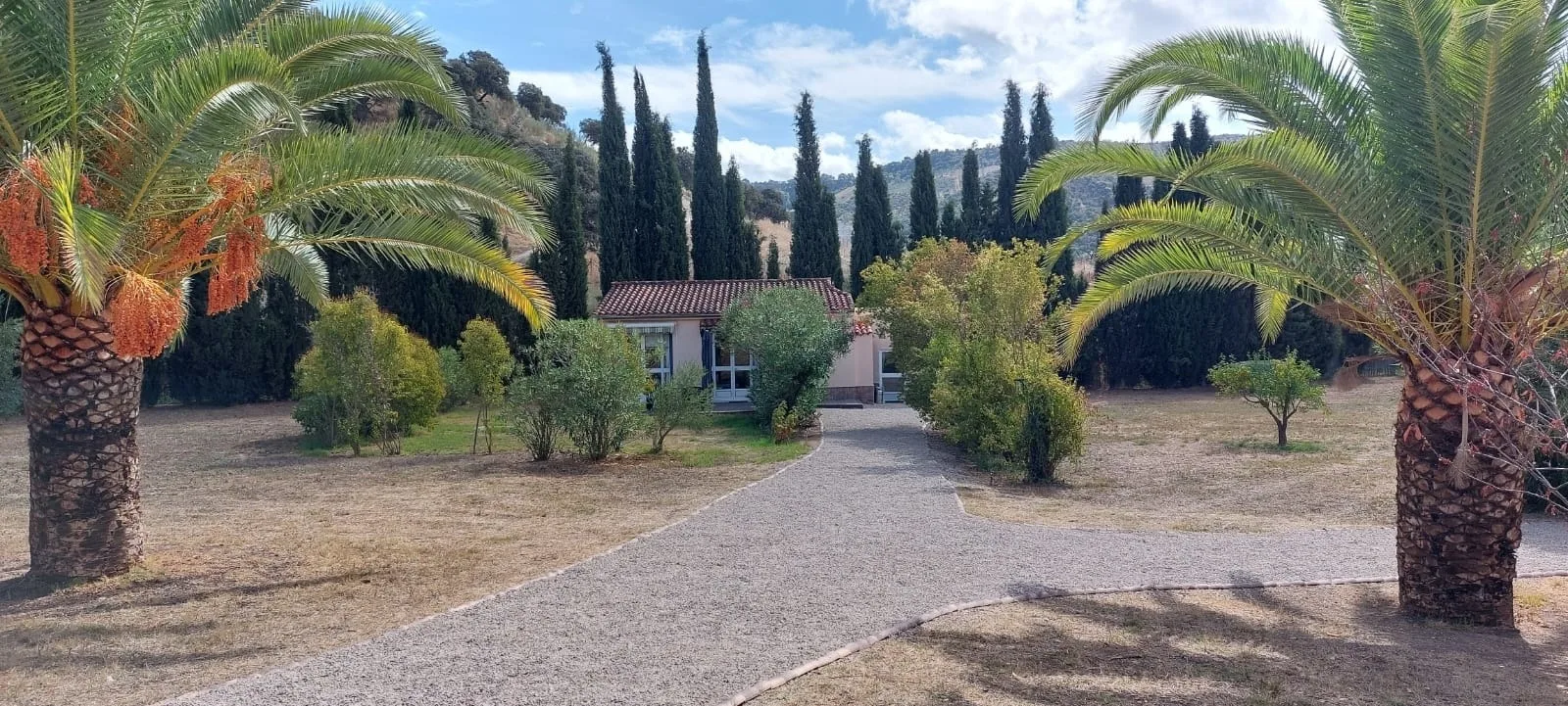 Casita Higo