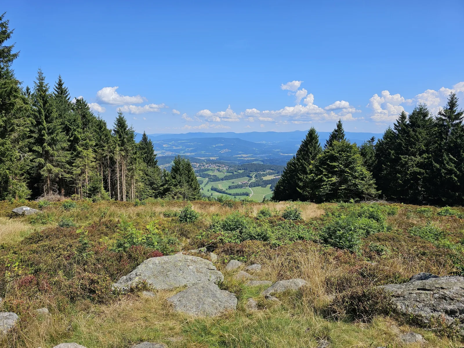 Gipfelfreund 1
