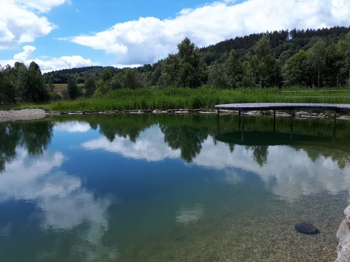 Gipfelfreund 1