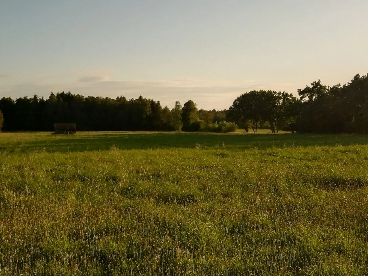Fewo Schnuckenheide