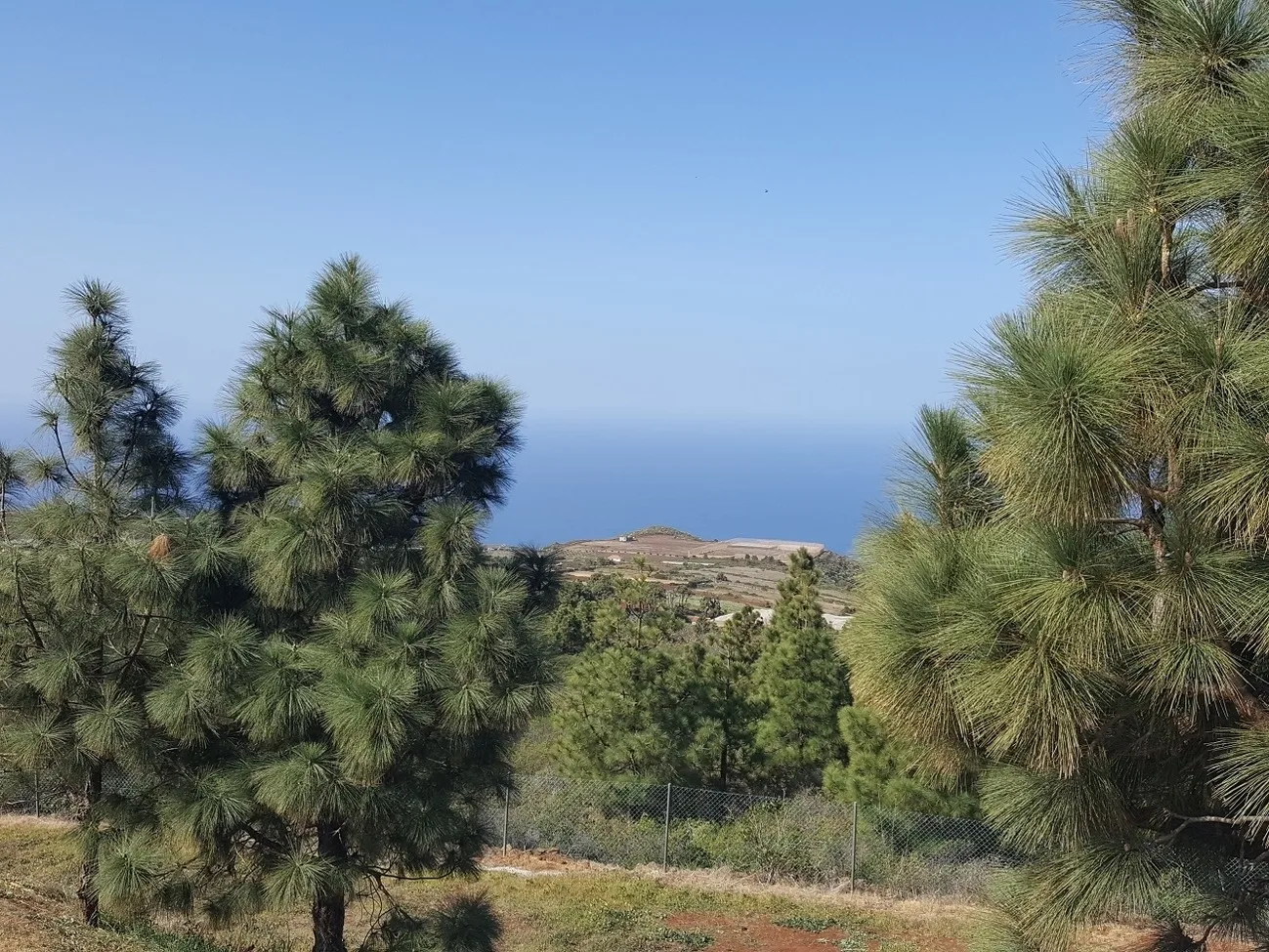 Finca La Bonita