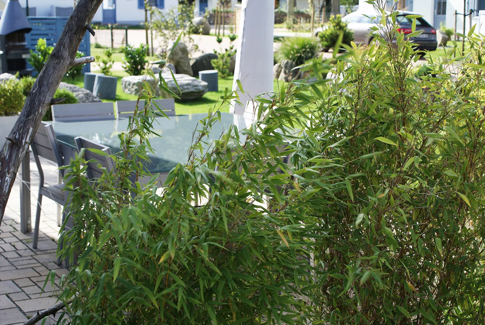 Traum Reethaus am Meer &ndash; mit Pool, Sauna & Yoga