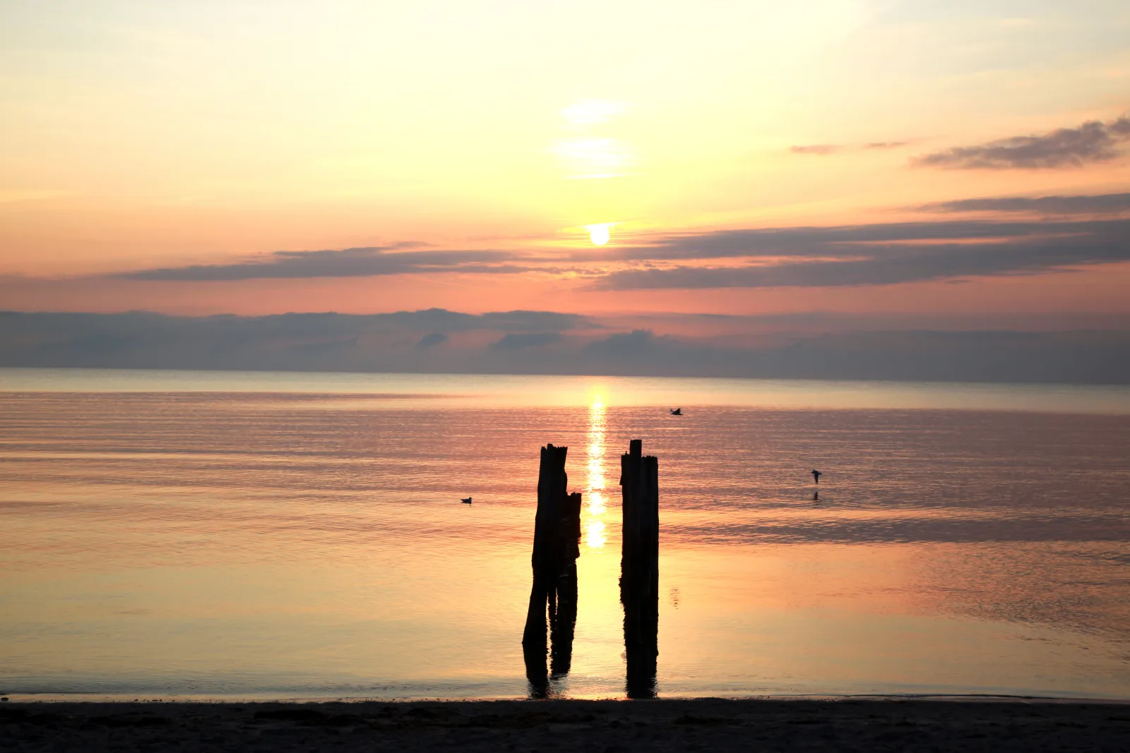 Traum Reethaus am Meer &ndash; mit Pool, Sauna & Yoga