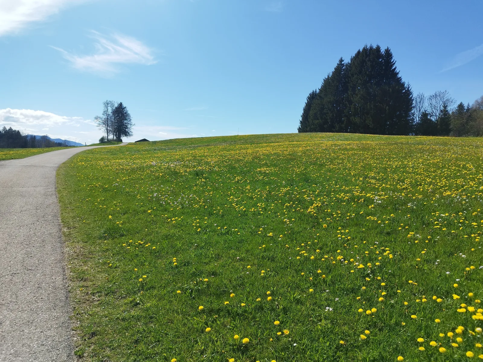 Ferienwohnung Höllisch