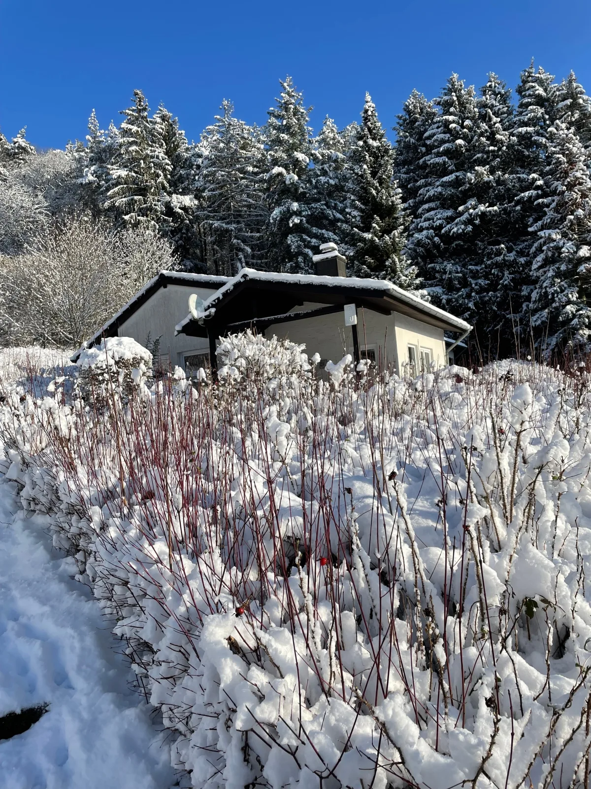Ferienhaus 926