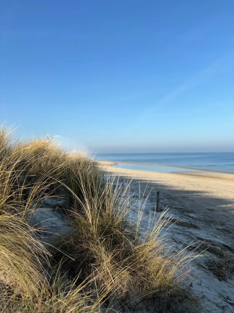 Ferienhaus Usedom - Haus Andrea - 300Meter zur Ostsee