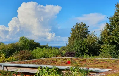 Ferienwohnung Hafenblick Ferienhof Geltinger Bucht