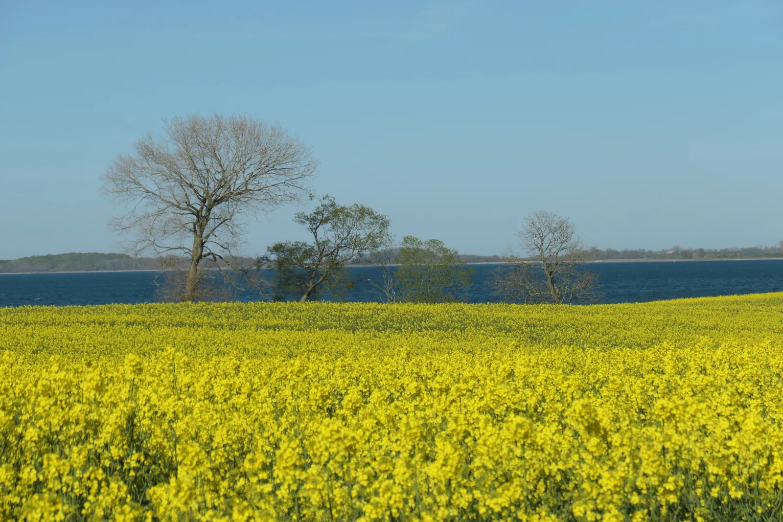 Ferienwohnung Hafenblick Ferienhof Geltinger Bucht