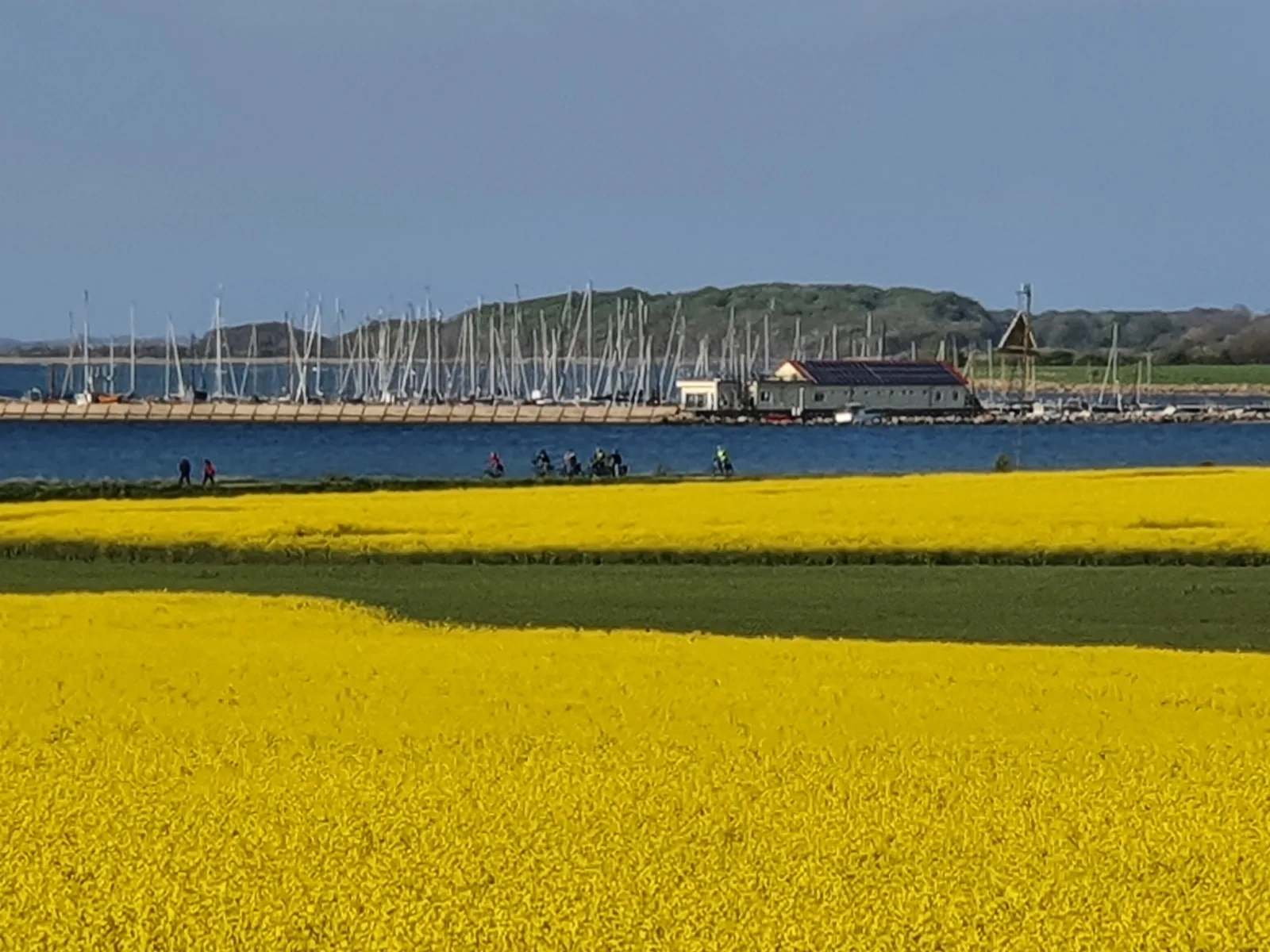 Ferienwohnung Hafenblick Ferienhof Geltinger Bucht