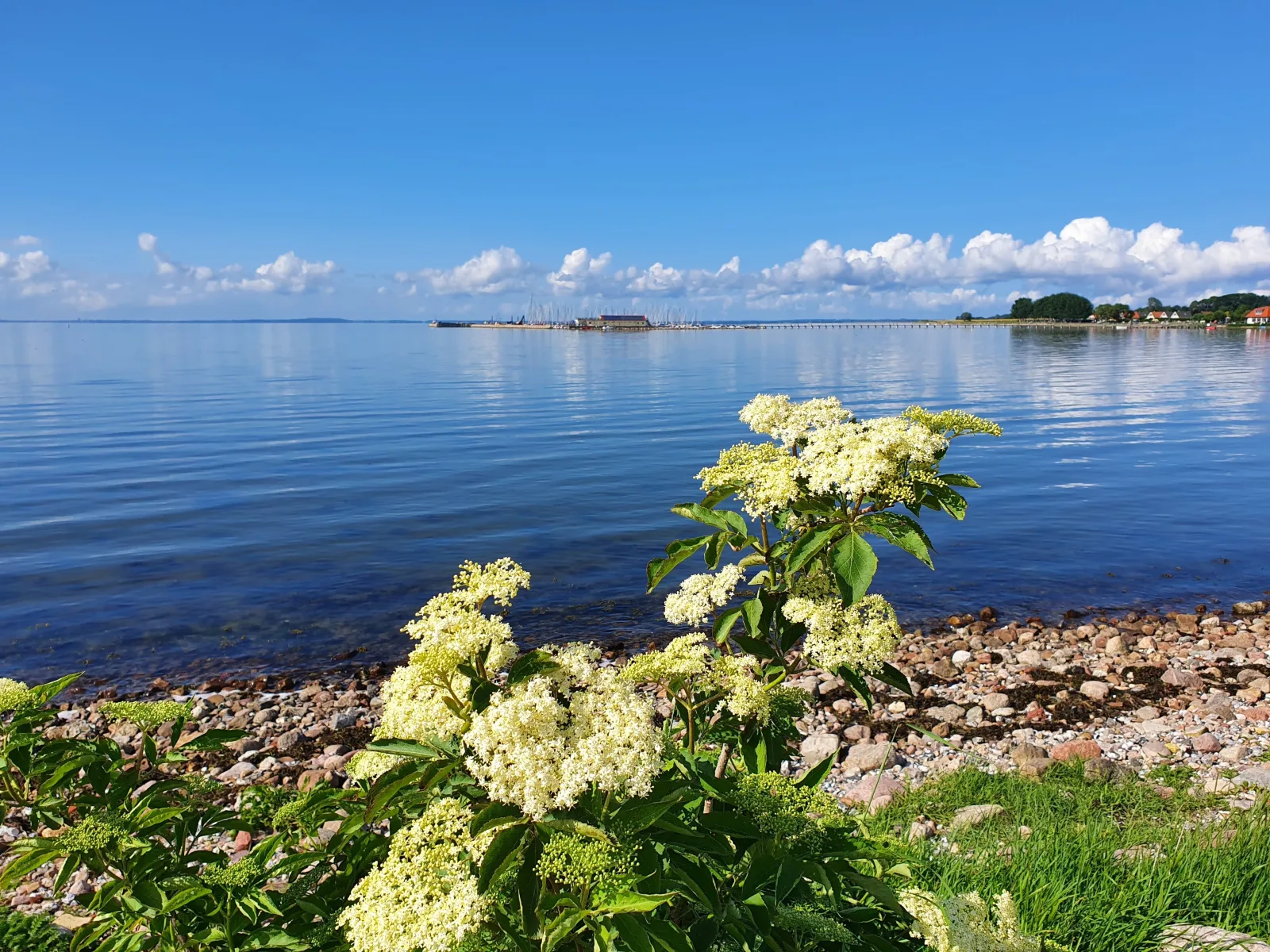 Ferienwohnung Hafenblick Ferienhof Geltinger Bucht