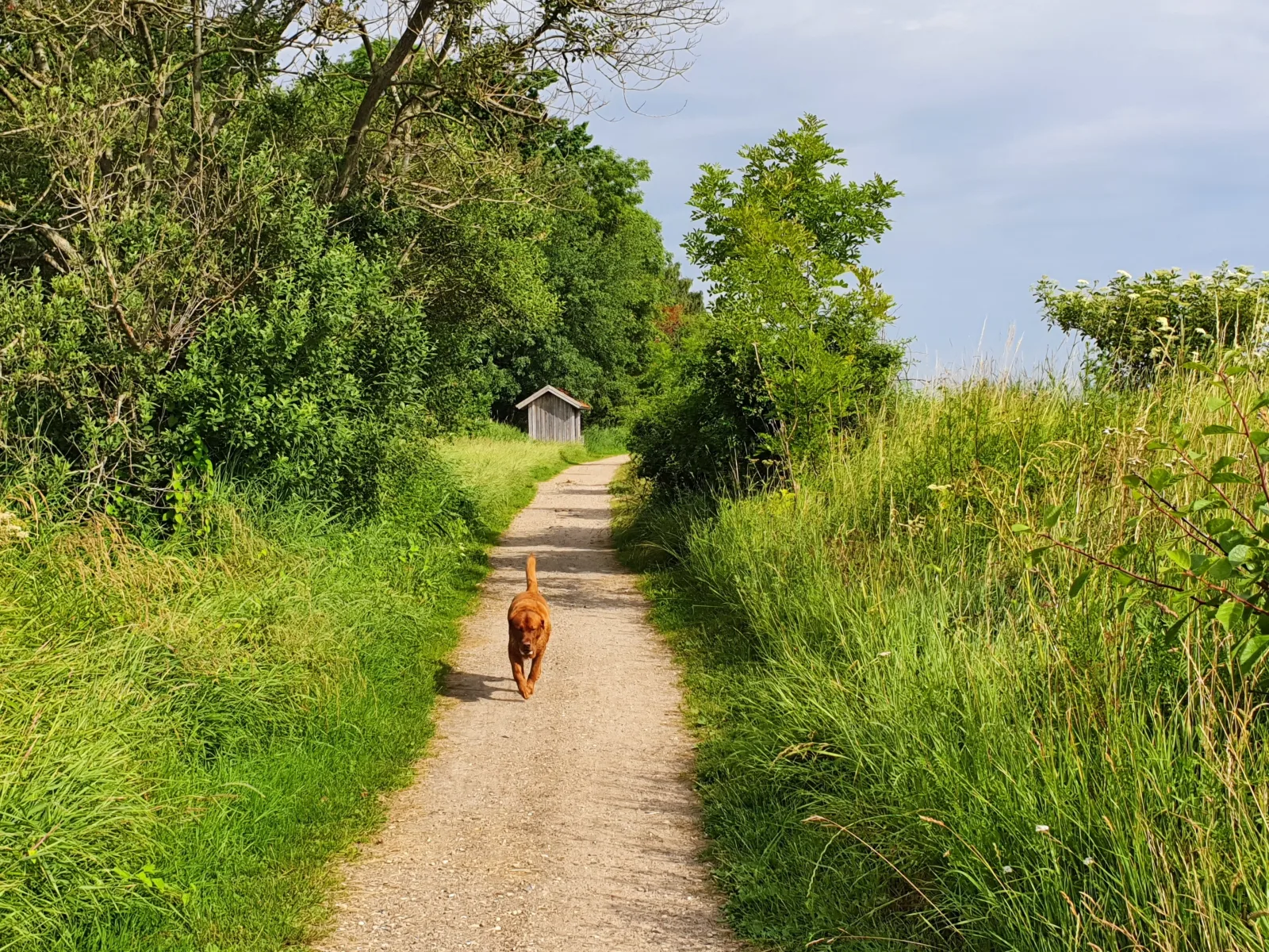 Ferienwohnung Hafenblick Ferienhof Geltinger Bucht