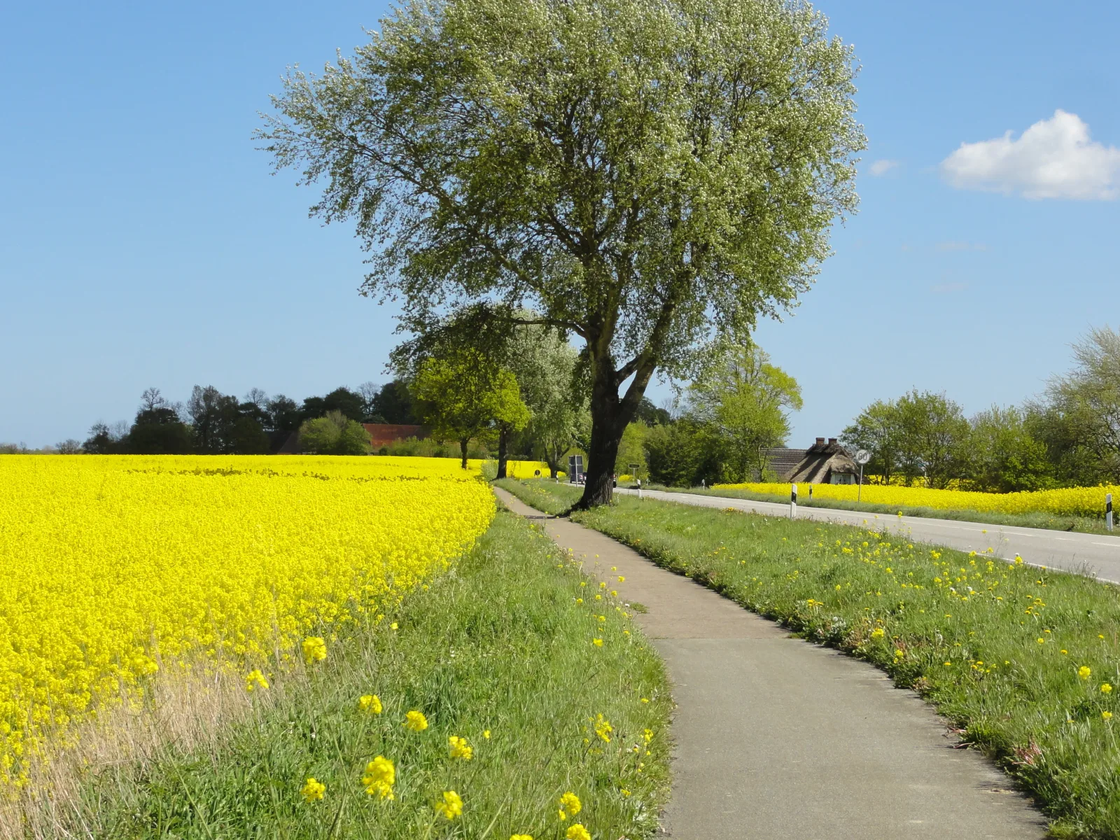 Ferienwohnung Hafenblick Ferienhof Geltinger Bucht