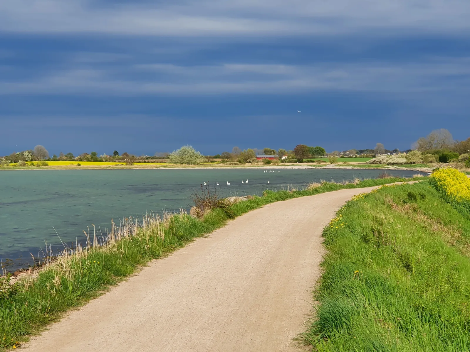 Ferienwohnung Bambuswald Ferienhof Geltinger Bucht