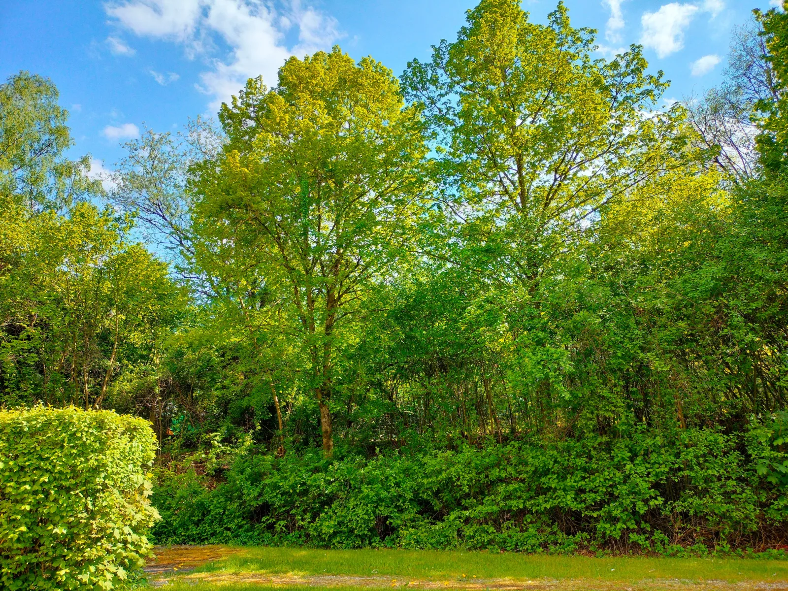 Apartment Rehblick Hohenwarth