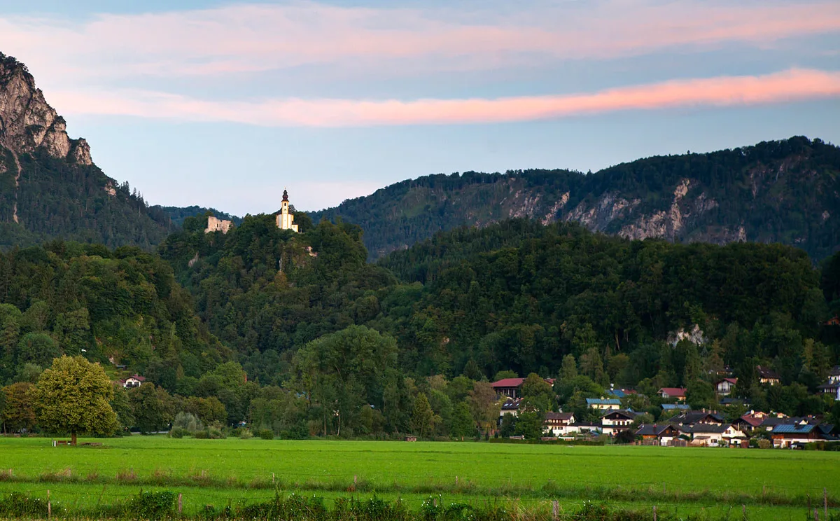 Alpenschwänchen 4 - Saalachschwänchen