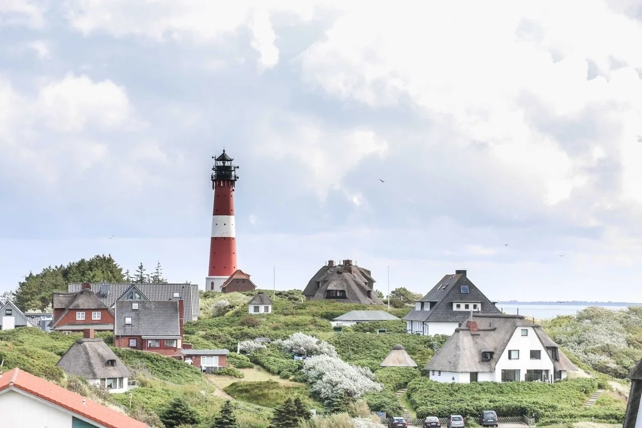 Seelöwe