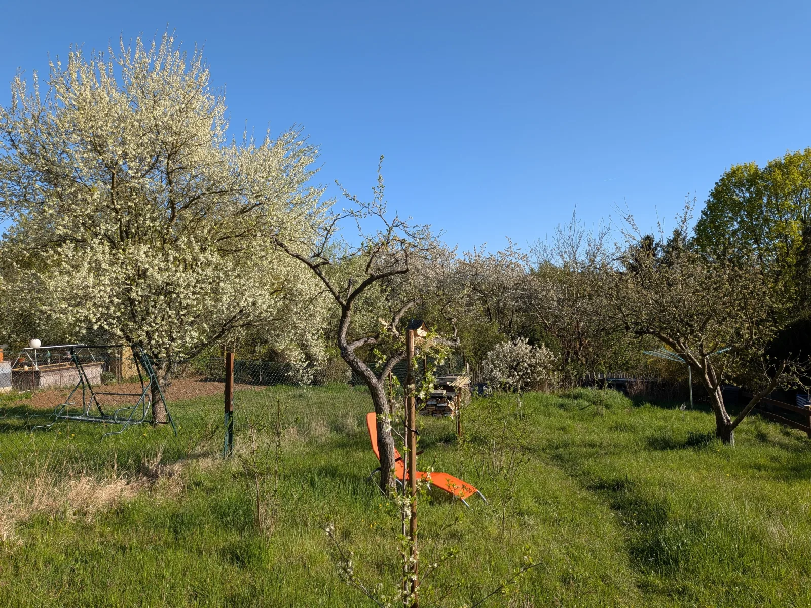 Seefreude & Stilbruch