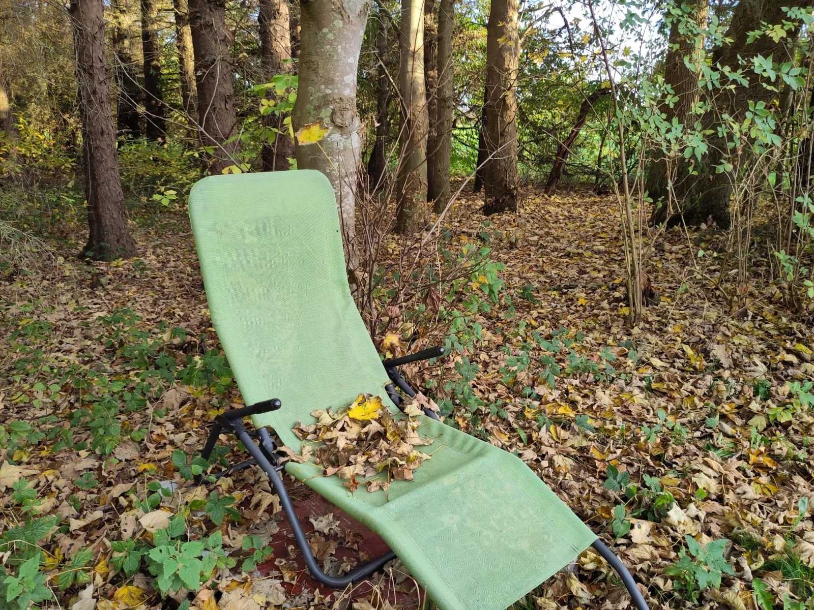 Rossenhof