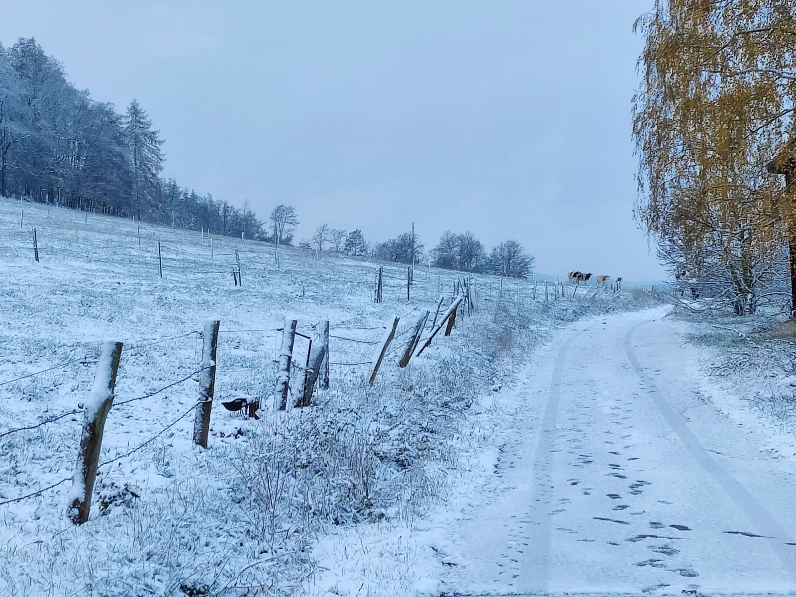 Ferienhaus Diemelsee-Sudeck