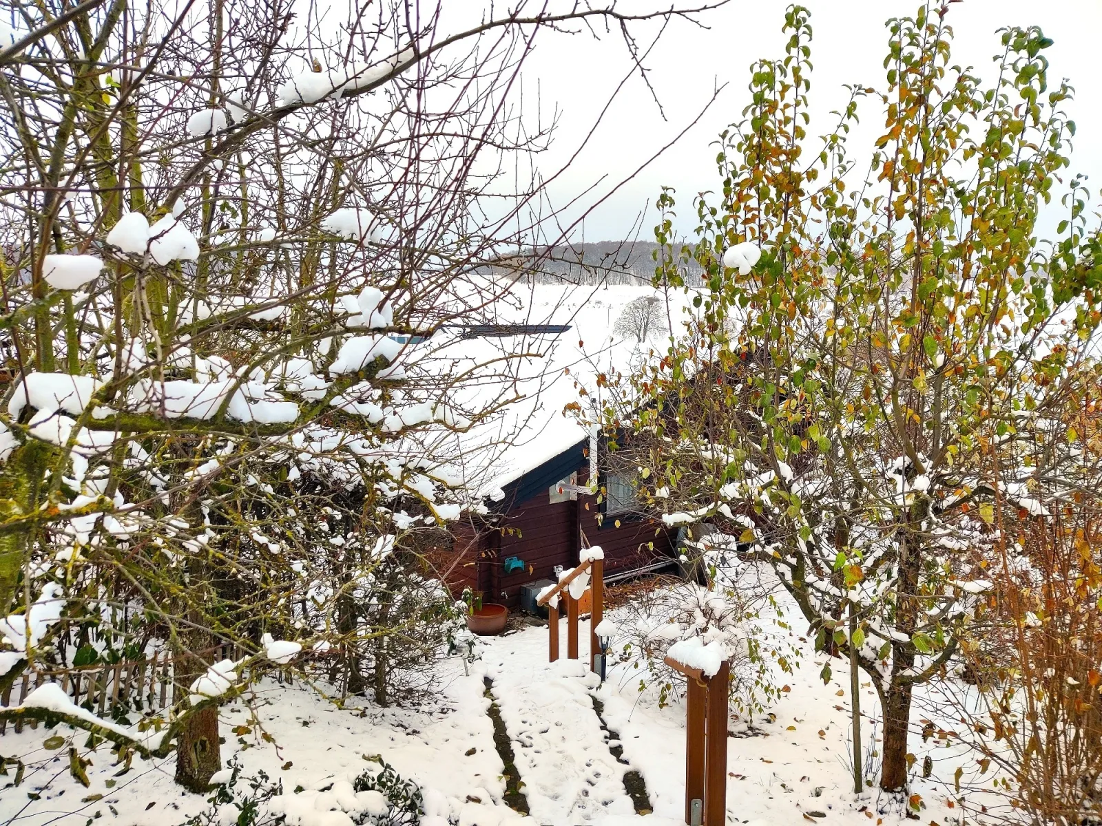 Ferienhaus Diemelsee-Sudeck