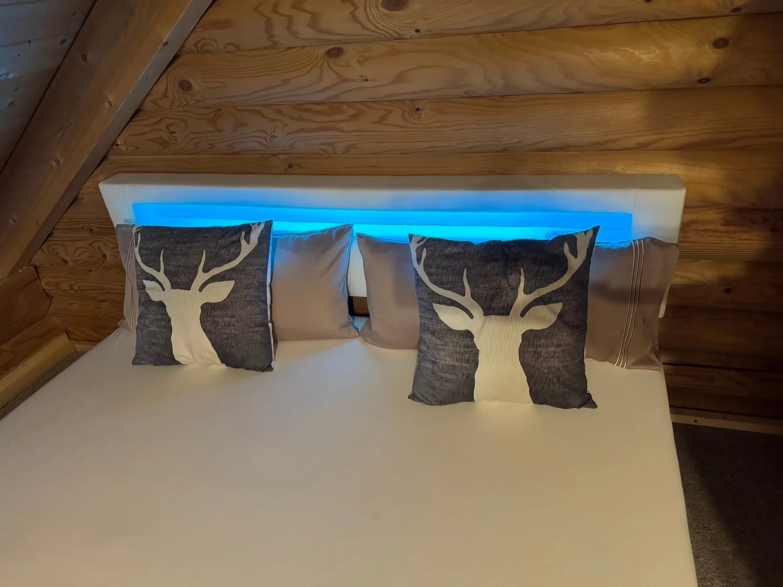 Alpenglück Blockhaus in der Ziegelwies Füssen