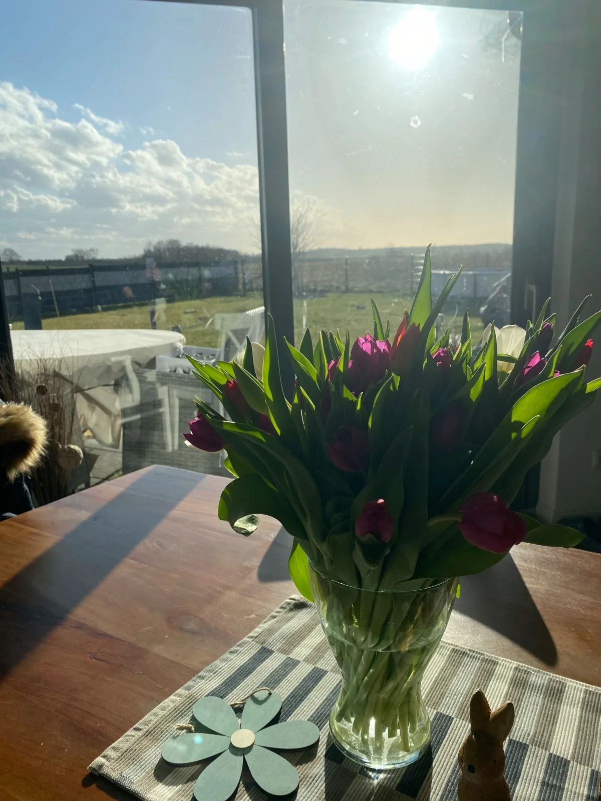 Ferienwohnung SCHWALBENNEST