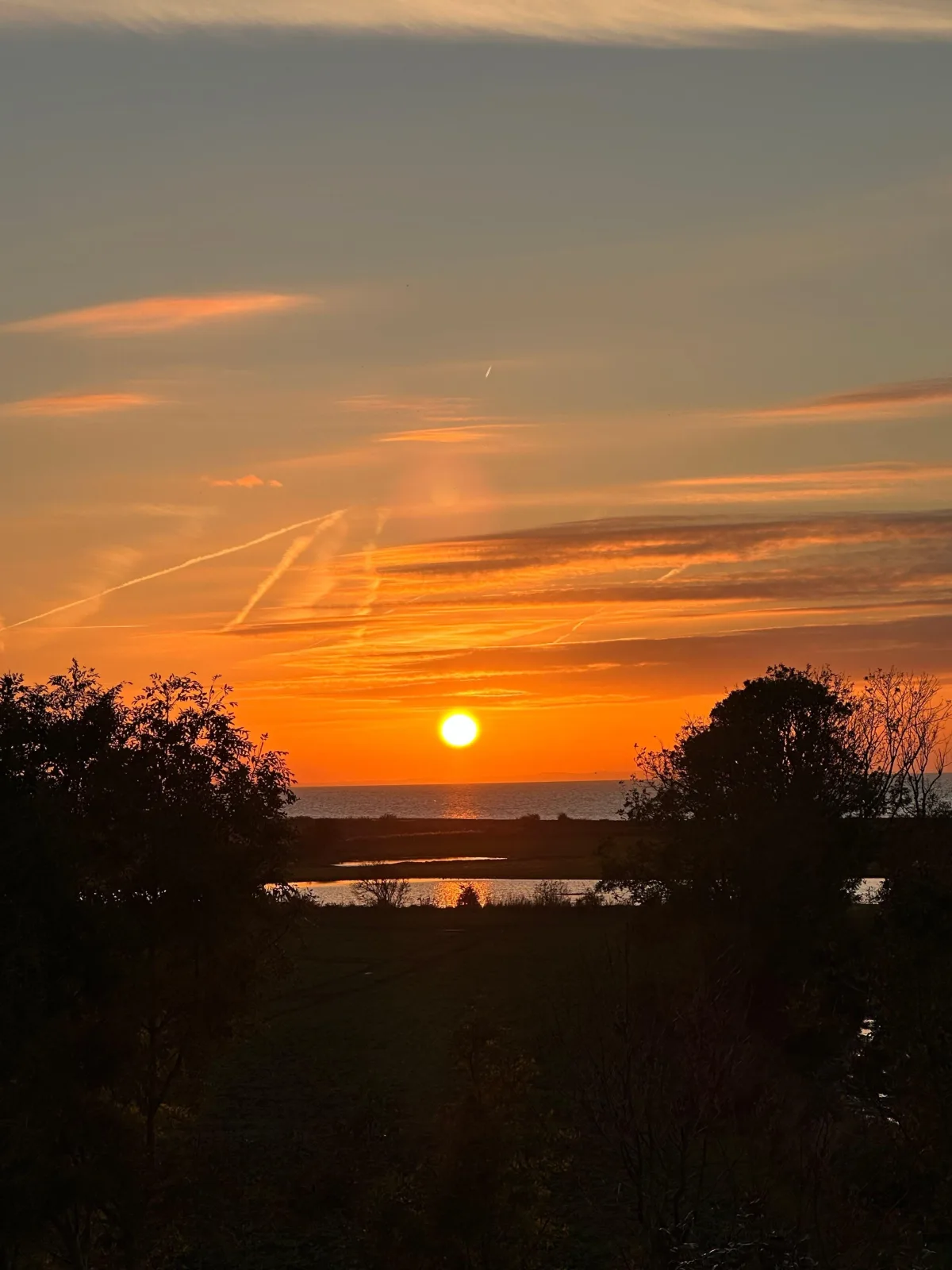 Ferienwohnung in Strandnähe - Schwalbennest 2