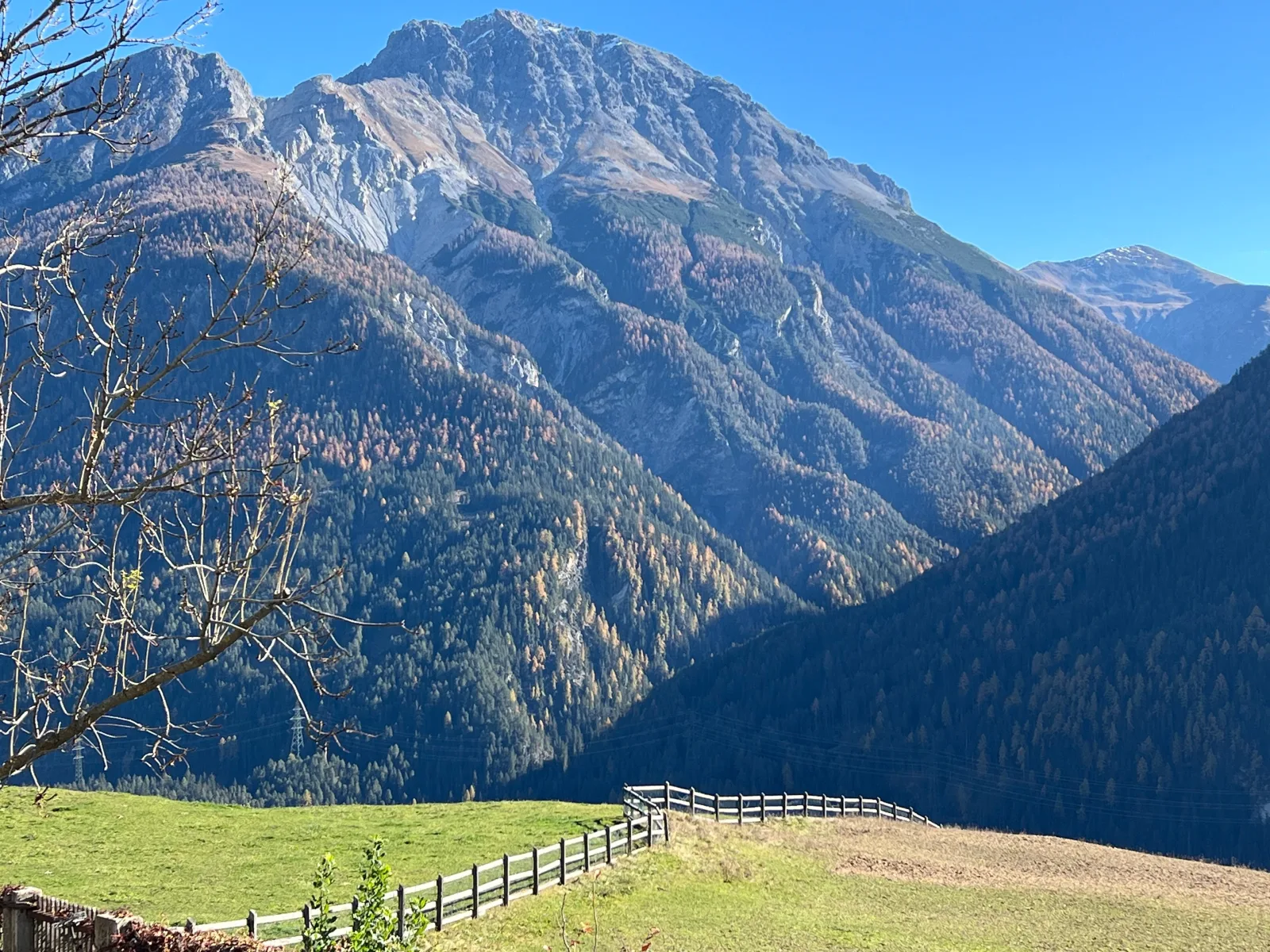 Gartenwohnung